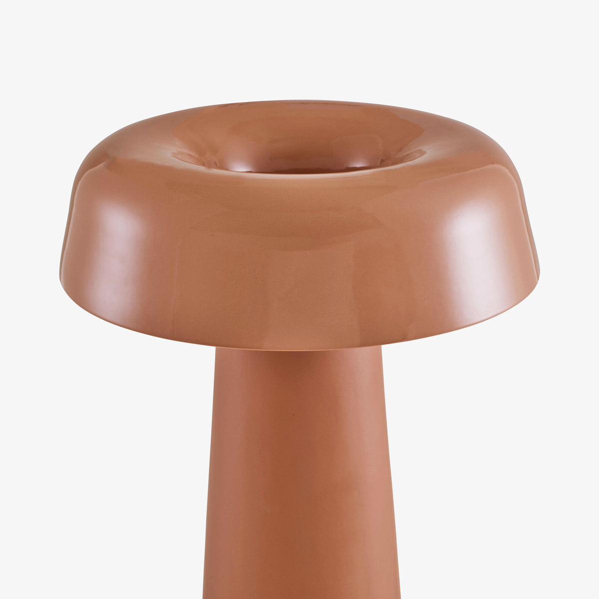 SHIITAKE - Liseuse
