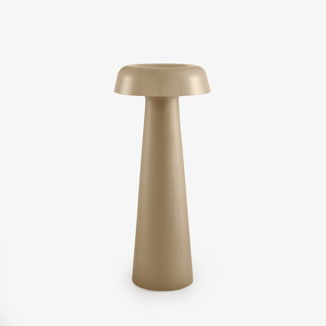 SHIITAKE - Liseuse