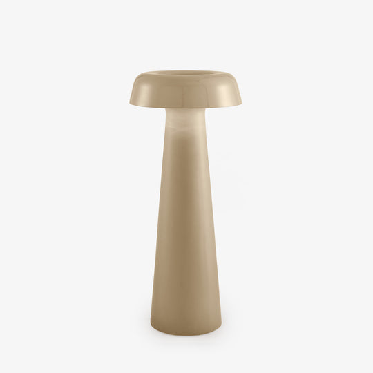 SHIITAKE - Liseuse