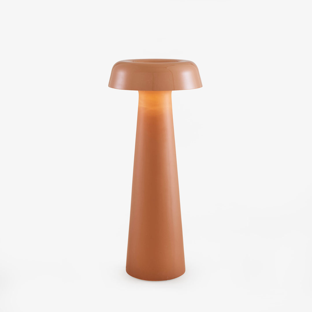 SHIITAKE - Liseuse