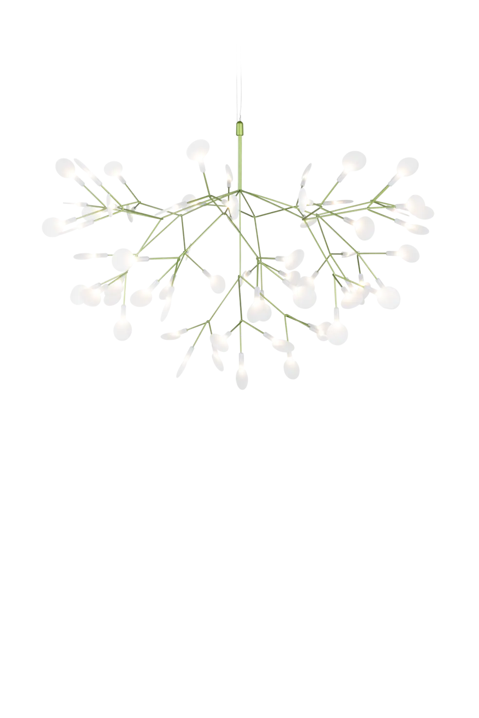 Suspension Heracleum III