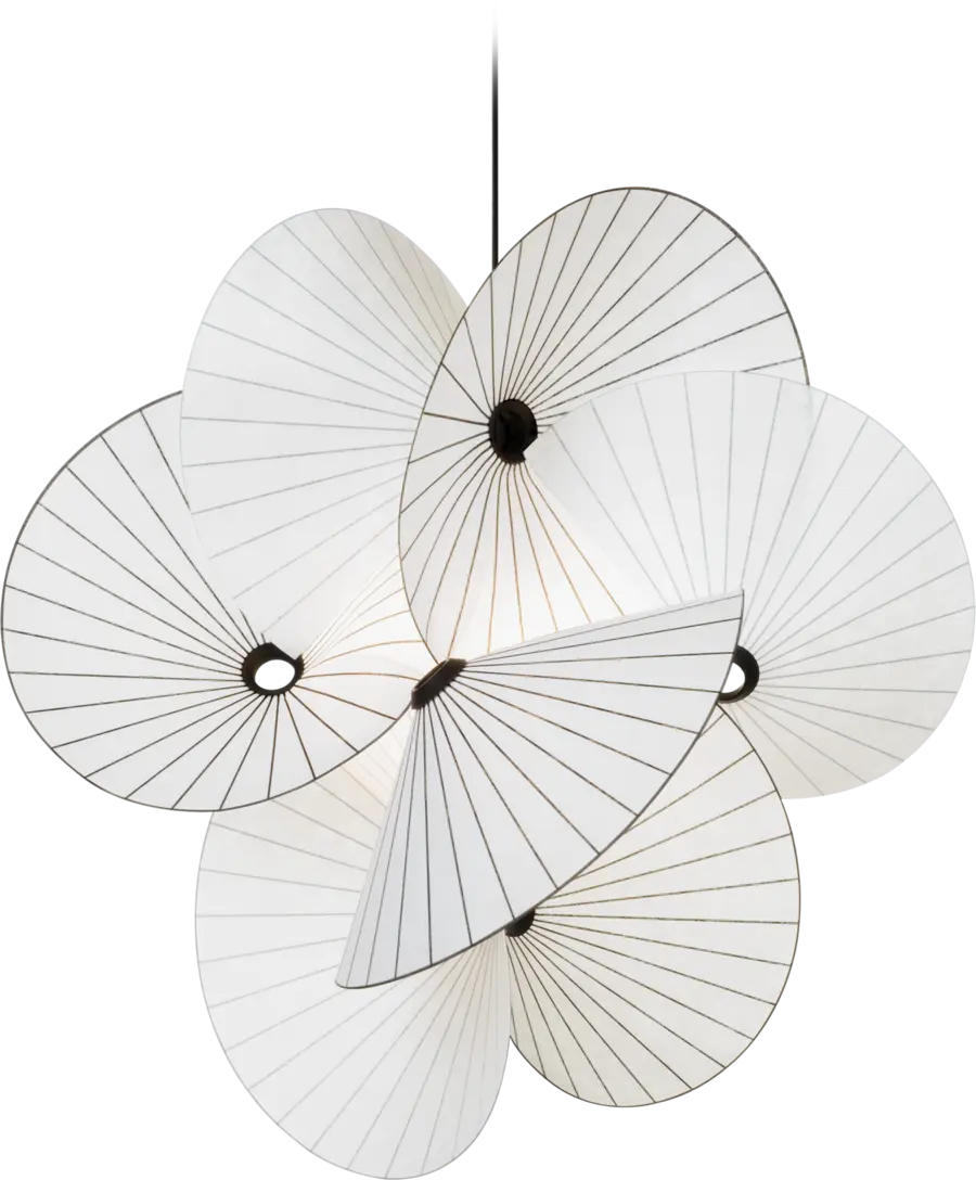 Suspension Serpentine