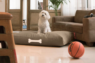 DOGGIELOUNGE STONEWASHED - Panier chien