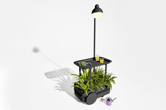 JOLLY TROLLEY - Jardinière