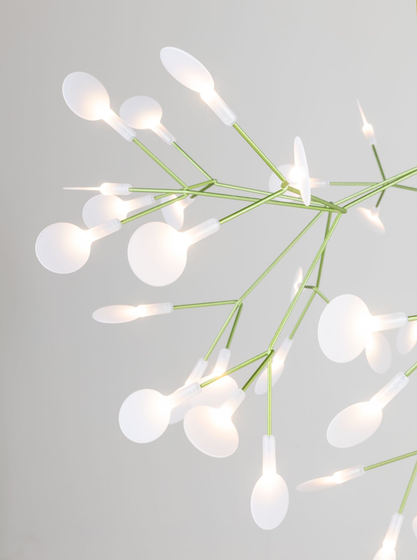 Suspension Heracleum III