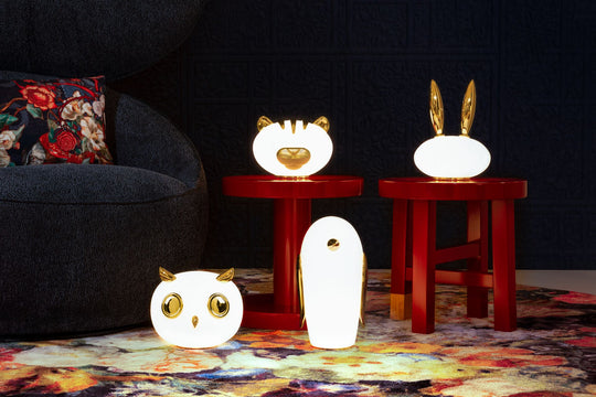 Lampe Pet Light