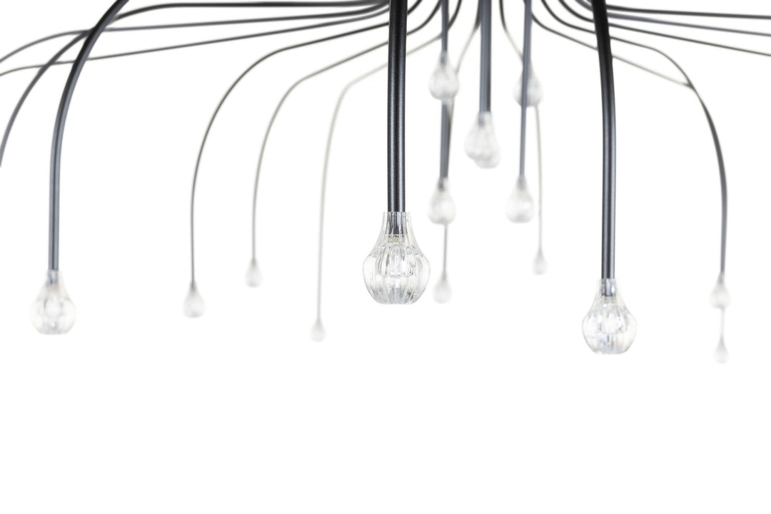 Suspension Starfall