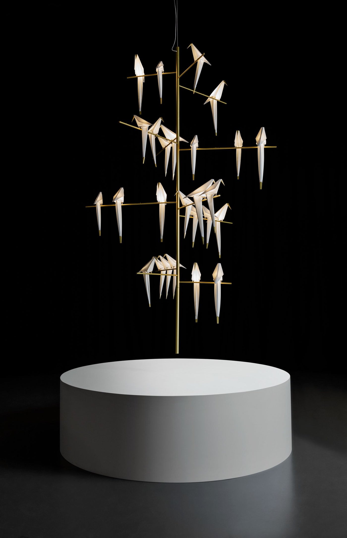 Suspension Perch Light Tree